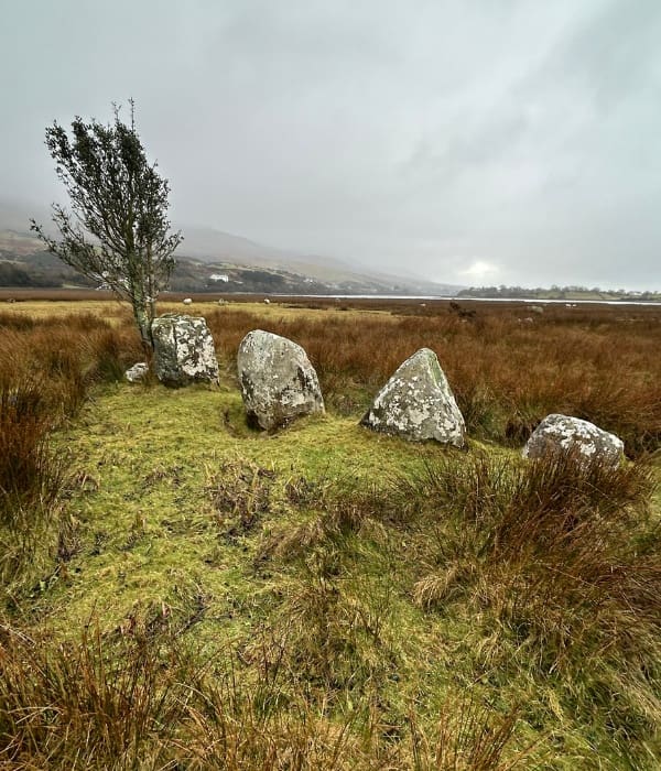 Killadangan Megalithic Complex Westport Co.Mayo